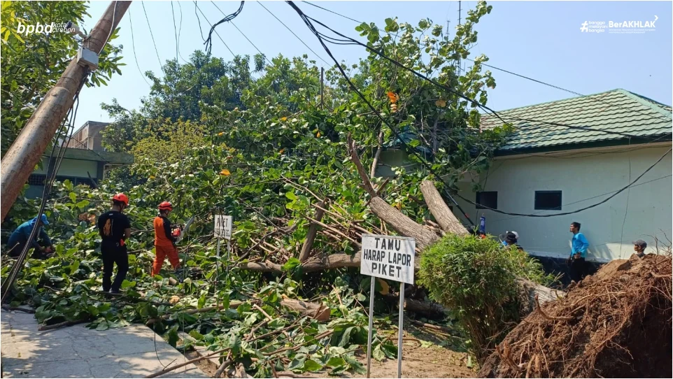 ANGIN KENCANG TERJANG KOTA CIREBON: MENGAKIBATKAN POHON TUMBANG HINGGA ATAP RUMAH WARGA TERBANG